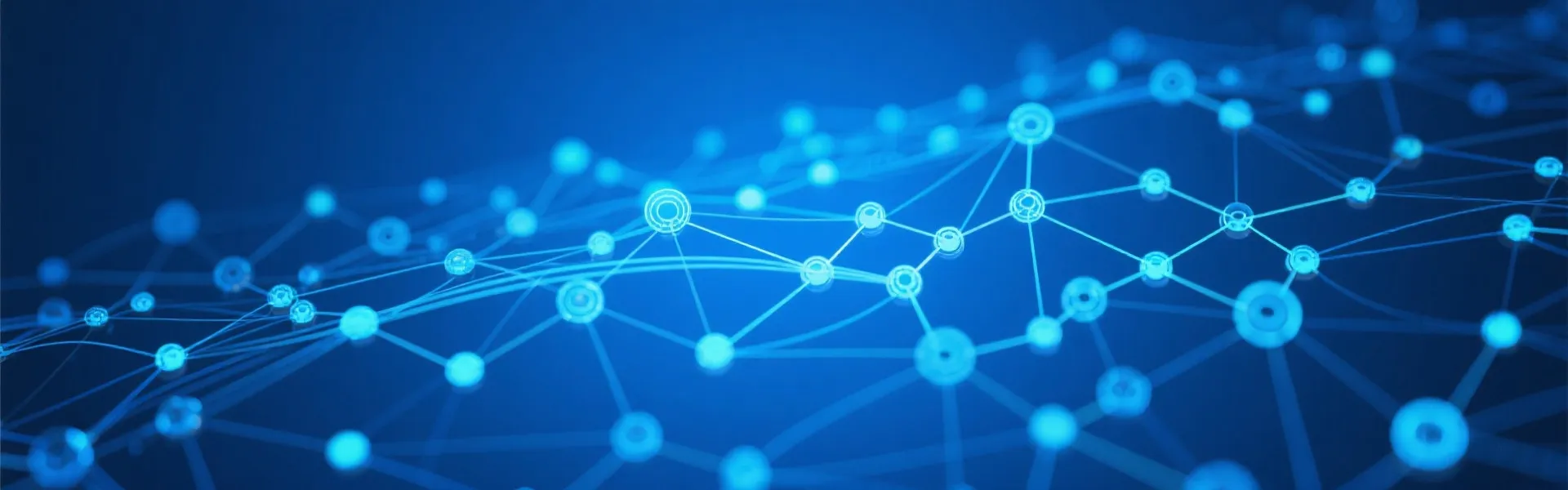 Data Network Background